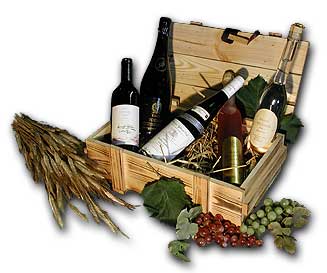 Weinprobe Mosel - Weinprobe Moselweine vom Winzer 